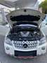 Mercedes-Benz ML 450 AMG-Optic-/Styling-Paket 1 CDI M -Klasse (BM 164) Bianco - thumbnail 2