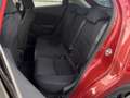 Mazda 2 SKYACTIV-G 90 Center-Line AHK Sitzheizung Kamera Rood - thumbnail 13