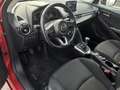Mazda 2 SKYACTIV-G 90 Center-Line AHK Sitzheizung Kamera Rot - thumbnail 9