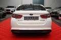 Kia Optima EX 2.4 Aut Eco Hybrid Keyless-GO*Panorama Bianco - thumbnail 8