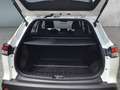 Toyota Corolla Cross 2.0 Active Drive 4x4       8-fach bereift! Weiß - thumbnail 19