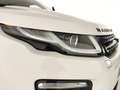 Land Rover Range Rover Evoque RR Evoque 1ª serie - Range Rover Evoque 2.0 TD4 15 Bianco - thumbnail 8