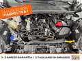Ford Puma 1.0 ecoboost h st-line x s&s 125cv Bianco - thumbnail 12