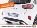Ford Puma 1.0 ecoboost h st-line x s&s 125cv Bianco - thumbnail 17
