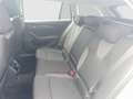Skoda Octavia 4x4 Ambition TDI DSG Silber - thumbnail 21