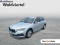 Skoda Octavia 4x4 Ambition TDI DSG Silber - thumbnail 1