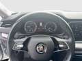 Skoda Octavia 4x4 Ambition TDI DSG Silber - thumbnail 10