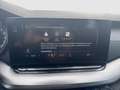 Skoda Octavia 4x4 Ambition TDI DSG Silber - thumbnail 18