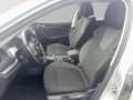 Skoda Octavia 4x4 Ambition TDI DSG Silber - thumbnail 9