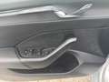 Skoda Octavia 4x4 Ambition TDI DSG Silber - thumbnail 14