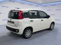 Fiat Panda 1.0 FireFly S&S Hybrid Blanc - thumbnail 4