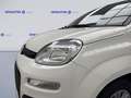 Fiat Panda 1.0 FireFly S&S Hybrid Blanc - thumbnail 6