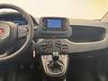 Fiat Panda 1.0 FireFly S&S Hybrid Blanc - thumbnail 10