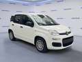Fiat Panda 1.0 FireFly S&S Hybrid Blanc - thumbnail 2