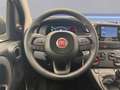 Fiat Panda 1.0 FireFly S&S Hybrid Blanc - thumbnail 11