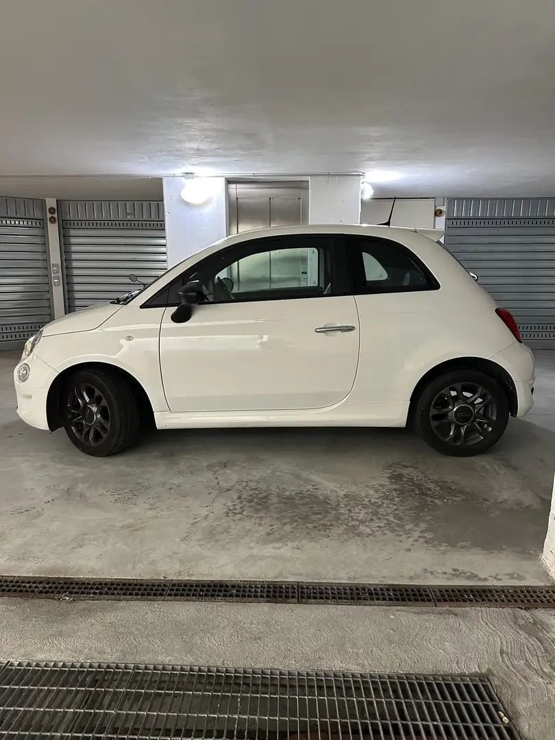 Fiat Fiat 500 Ibrido Белый - 2