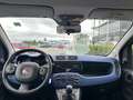 Fiat Panda Panda III 2012 1.2 Lounge 69cv E6 Argento - thumbnail 10