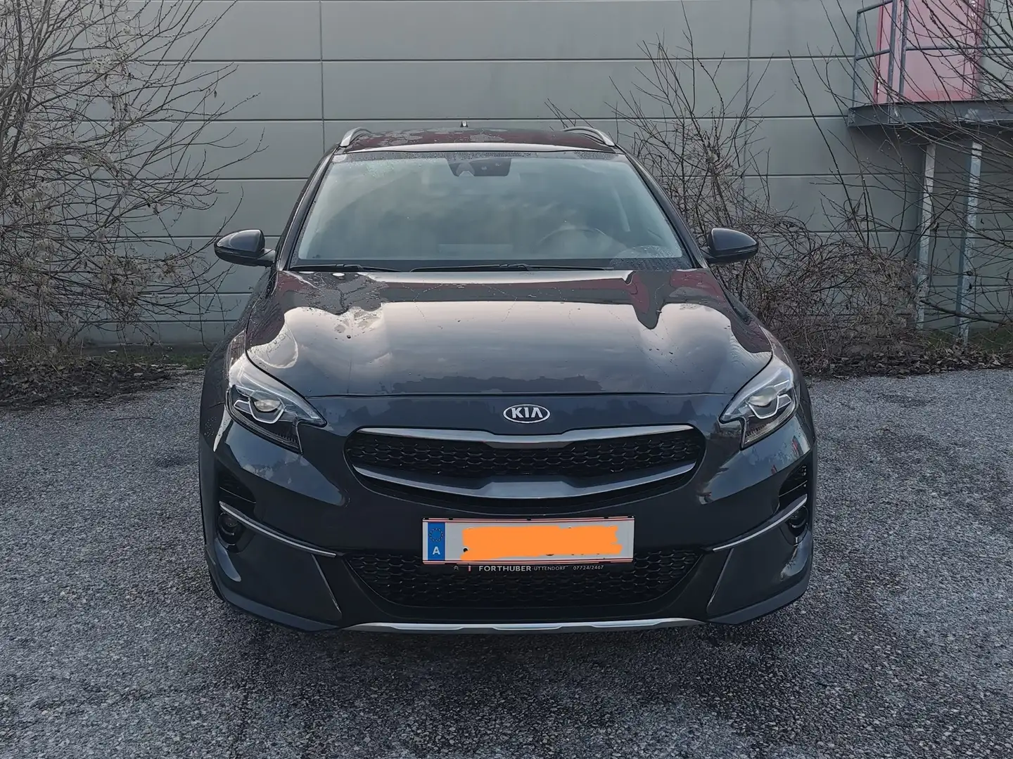 Kia XCeed 1,6 CRDI SCR Gold Grau - 1