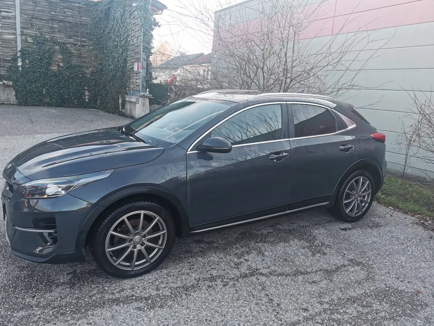 Kia XCeed 1,6 CRDI SCR Gold Grau - 2