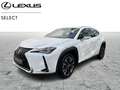 Lexus UX 250h STYLE Weiß - thumbnail 1