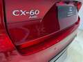 Mazda CX-60 3.3L MHEV Homura CON-P DRI-P COM-P PAN-P NKS 4WD Rojo - thumbnail 12