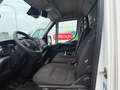 Iveco Daily 35S18/175CV/3.0/SPONDA/2022 Bianco - thumbnail 7
