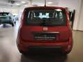 Fiat New Panda HYBRID 1.0 GSE Rood - thumbnail 4