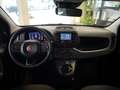 Fiat New Panda HYBRID 1.0 GSE Rouge - thumbnail 9