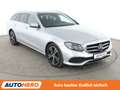 Mercedes-Benz E 400 E 400 d T 4Matic Avantgarde Aut.*MULTIBEAM*360CAM* Argent - thumbnail 8