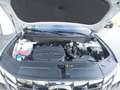Hyundai TUCSON NX4 Trend Line CRDI 4WD Automatik Grau - thumbnail 19