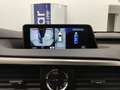 Lexus RX 450h Hybrid Luxury Pelle Tetto Camera 360° Cerchi 20” Silver - thumbnail 12