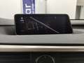 Lexus RX 450h Hybrid Luxury Pelle Tetto Camera 360° Cerchi 20” Silver - thumbnail 30