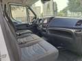 Iveco Daily 35-140 HI-MATIC 2.3 MTJ MIXTO 6 POSTI Blanc - thumbnail 8