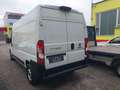 Fiat Ducato L3/H2 Maxi NETTO 21.000.- Ohne Anzahlung 499.-/M. Weiß - thumbnail 4