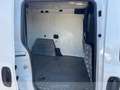Fiat Doblò cargo 1.6 mjt 16v sx 105cv e5+(e5) Weiß - thumbnail 10