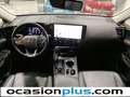 Lexus NX 300h 450h+ Executive 4WD Gris - thumbnail 6
