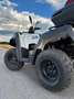 Adly ATV 320 Hercules Biały - thumbnail 3