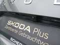 Skoda Octavia Combi Selection1.5 TSI DSG Navi RFK SunS Grau - thumbnail 15