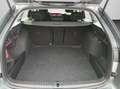 Skoda Octavia Combi Selection1.5 TSI DSG Navi RFK SunS Grau - thumbnail 14