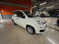 Fiat Panda Pandina 1.0 firefly hybrid Icon s Bianco - thumbnail 2