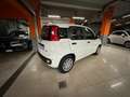 Fiat Panda Pandina 1.0 firefly hybrid Icon s Bianco - thumbnail 4