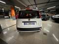 Fiat Panda Pandina 1.0 firefly hybrid Icon s Bianco - thumbnail 5