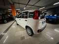 Fiat Panda Pandina 1.0 firefly hybrid Icon s Bianco - thumbnail 6