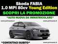Skoda Fabia 1.0 MPI 80cv "YOUNG EDITION" - CONTATTACI !!! Grau - thumbnail 1