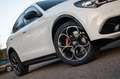 Alfa Romeo Stelvio Veloce 2.2 Q4 vom AR Vertragshändler Weiß - thumbnail 2