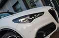 Alfa Romeo Stelvio Veloce 2.2 Q4 vom AR Vertragshändler Blanc - thumbnail 3