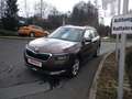 Skoda Kamiq AMBITION 1.0TSI 85kW 116PS SHZ LED PDC Braun - thumbnail 3