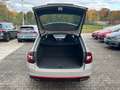 Skoda Octavia Combi RS 2.0TDI DSG 4x4 NAVI PDC SH LED Grau - thumbnail 8