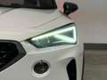 CUPRA Formentor Formentor 1.4 e-hybrid 204cv dsg *PREZZO REALE* White - thumbnail 27