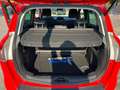 Ford B-Max 1.4 90 CV Business Titanium Rosso - thumbnail 15